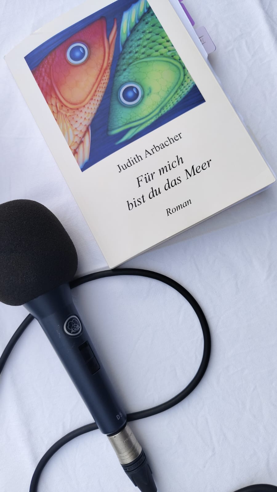 Buch bei Lesung Hubertus Freistadt